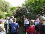 visite-histoires-de-rhodo-cdp-29-domaine-de-trevarez-29081-1920px-597