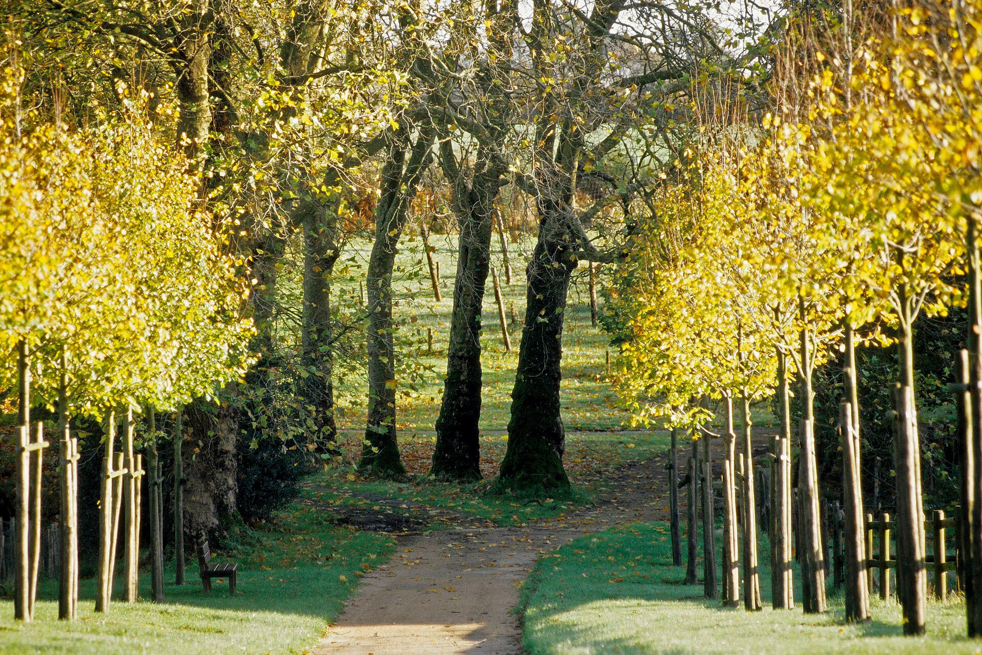 allee-menant-au-parc-bernard-galeron-manoir-de-kernault-14310-1920px-506