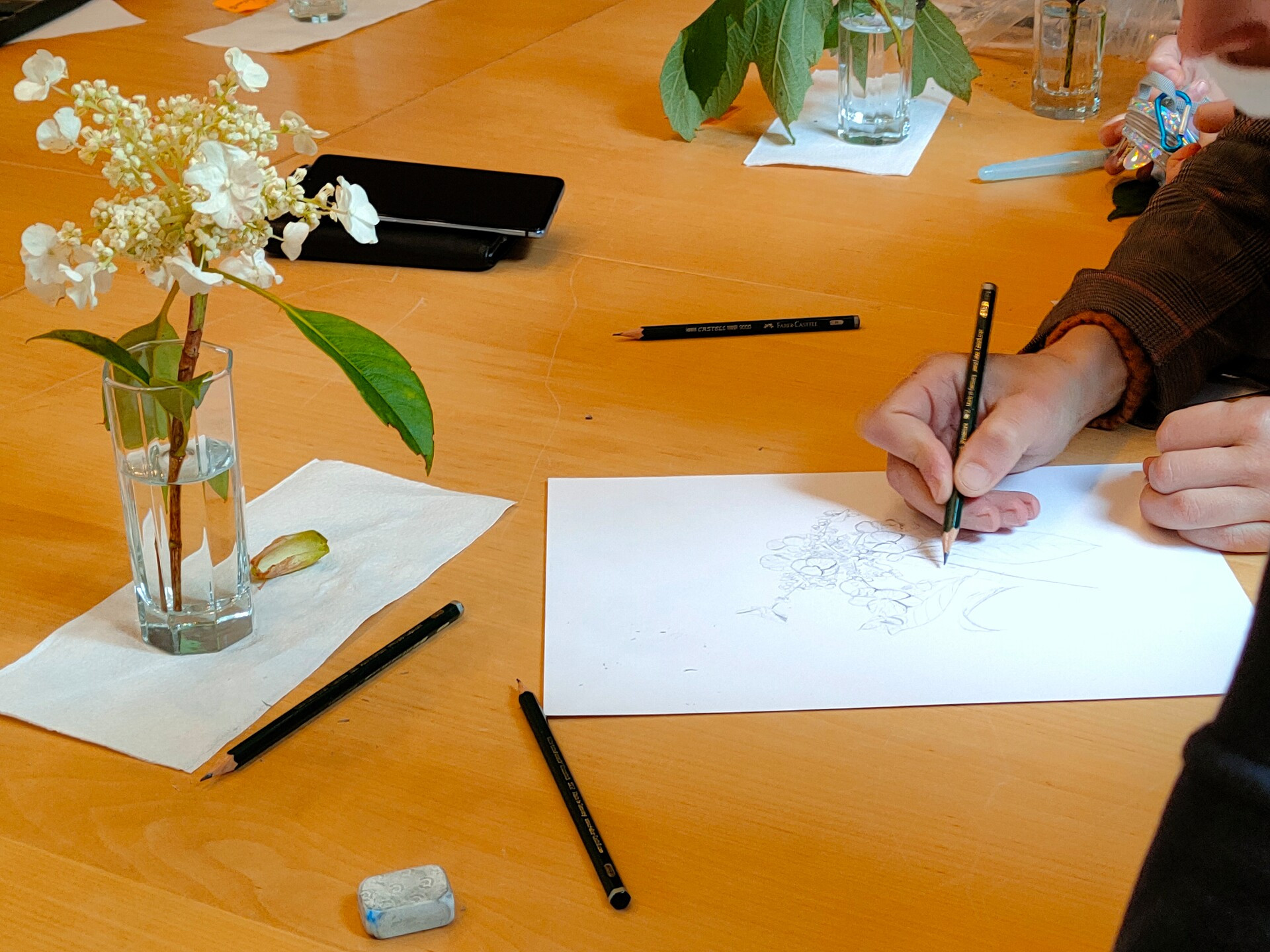 atelier-dessin-botanique-pascale-quere-cdp29-domaine-de-trevarez-38839-1920px-738