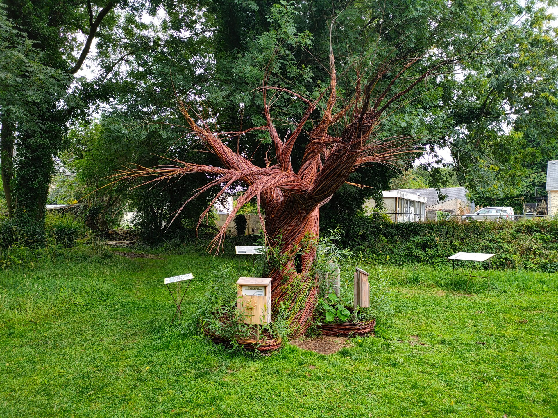 exposition-2023-au-pied-de-mon-arbre-abbaye-du-relec-estelle-bizien-cdp29-abbaye-du-relec-36475-1920px-685