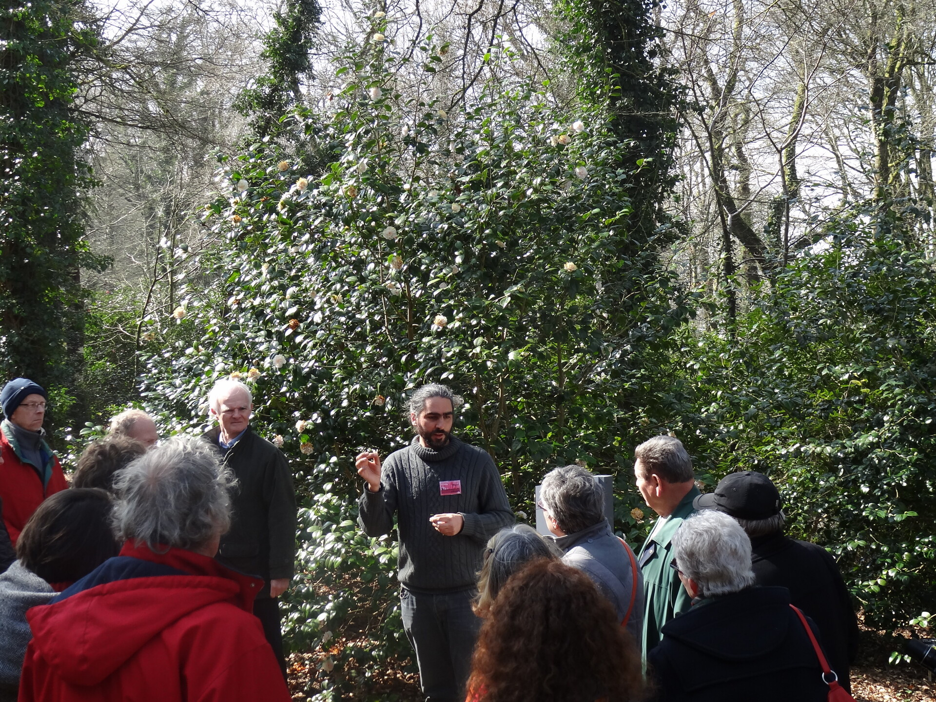 visite-botanique-pascale-quere-cdp29-domaine-de-trevarez-28859-1920px-562 visite-botanique-pascale-quere-cdp29-domaine-de-trevarez-28859-1920px-562