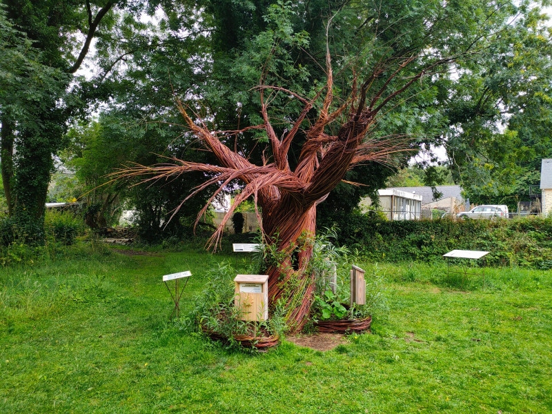 exposition-2023-au-pied-de-mon-arbre-abbaye-du-relec-estelle-bizien-cdp29-abbaye-du-relec-36475-1920px-685