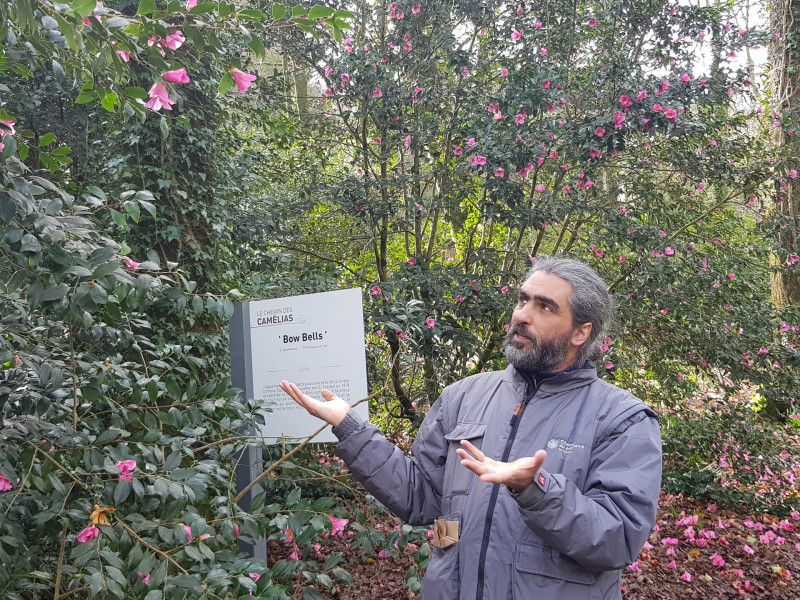 le-chemin-des-camelias-cdp-29-domaine-de-trevarez-25975-1920px-566