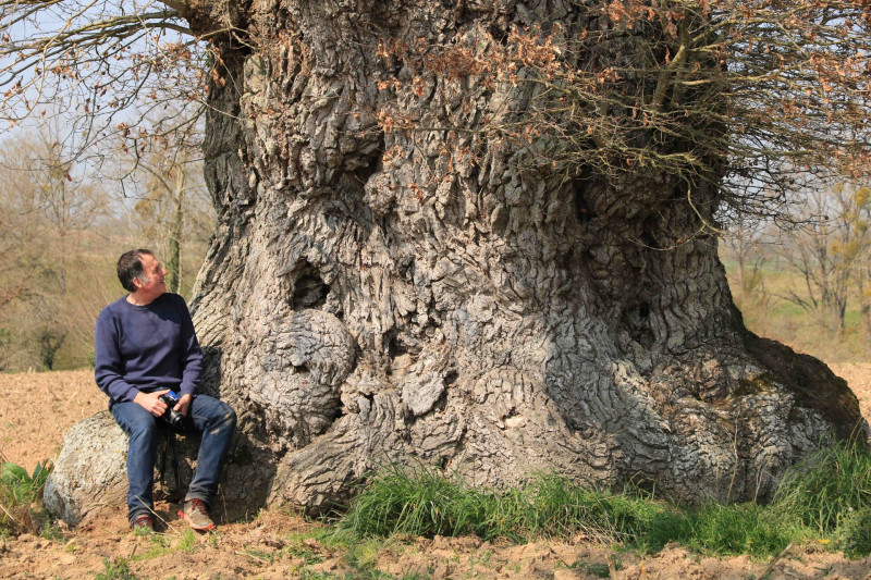 les-arbres-sont-intelligents-503
