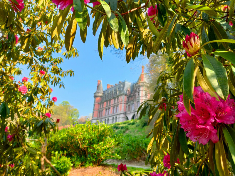 rhododendrons-rouges-et-chateau-pascale-quere-cdp29-domaine-de-trevarez-38396-1920px-596