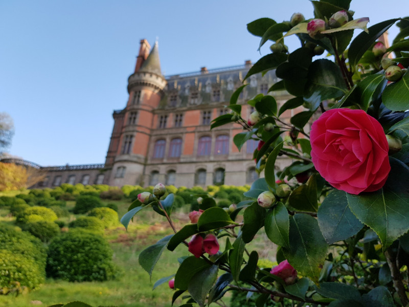 trevarez-en-camelia-2019-jean-philippe-rivier-cdp29-domaine-de-trevarez-26020-1920px-1-563