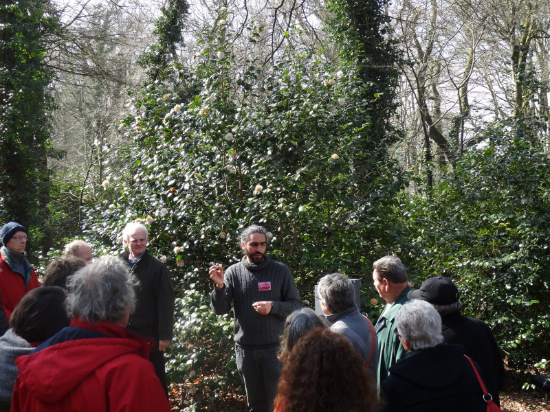 visite-botanique-pascale-quere-cdp29-domaine-de-trevarez-28859-1920px-562
